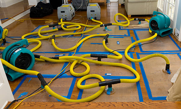 Professional Structural Drying And Dehumidification technician working in Crystal City, MO